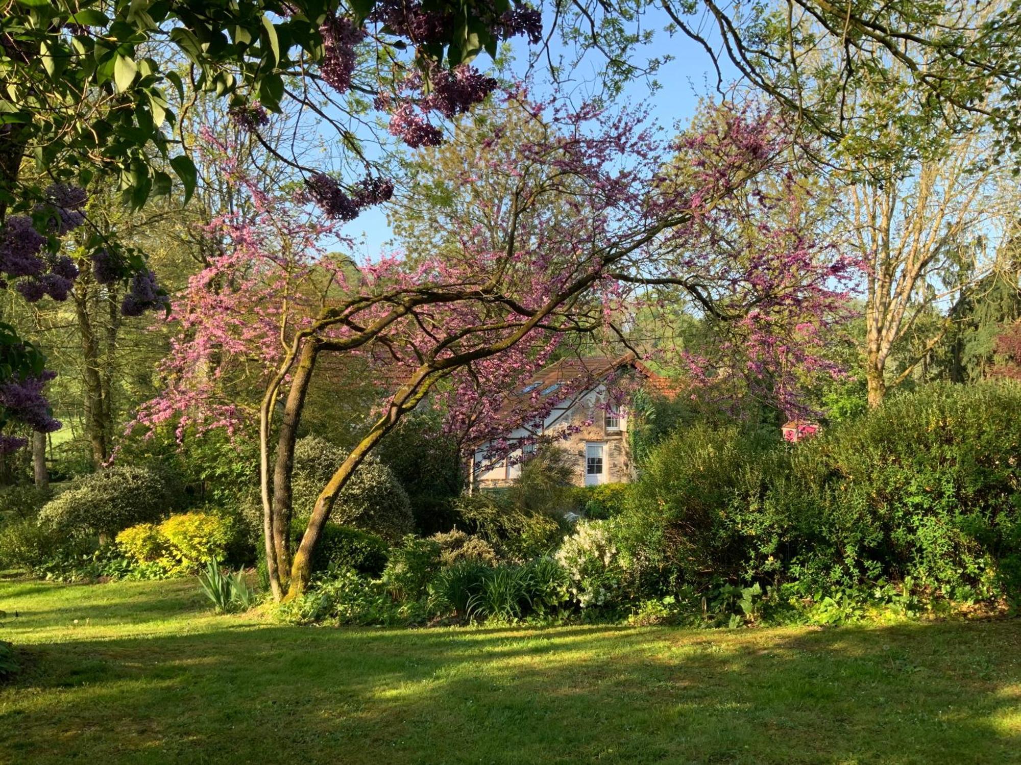 Le Moulin De La Castellerie Bed and Breakfast Moon-sur-Elle Εξωτερικό φωτογραφία
