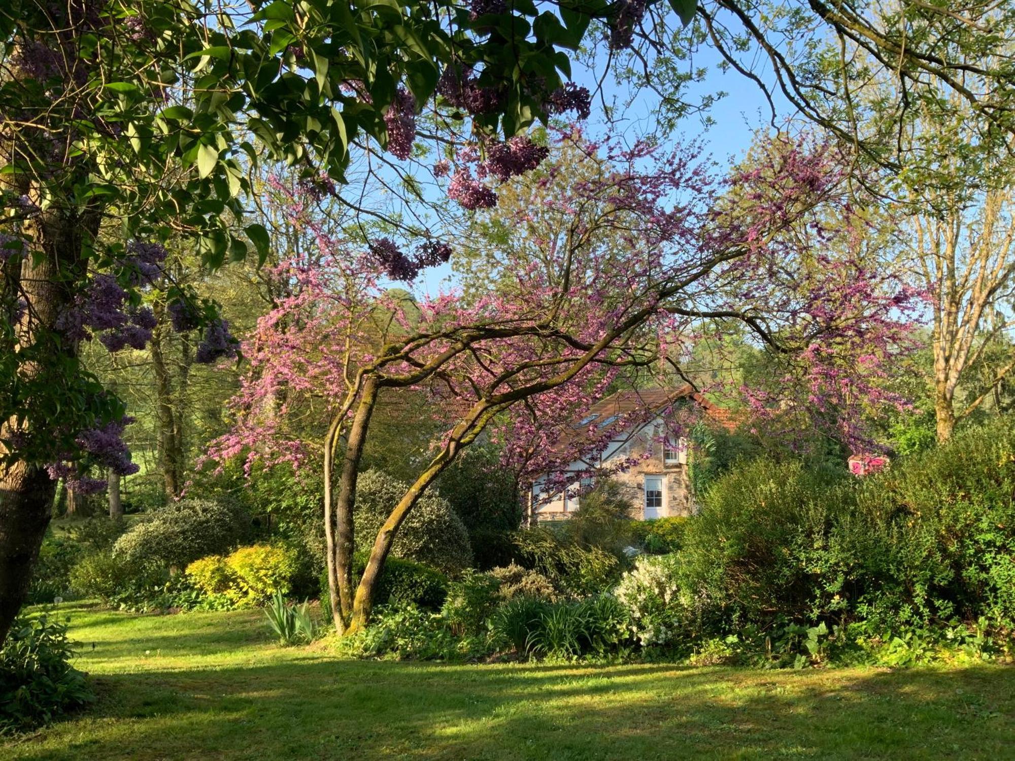 Le Moulin De La Castellerie Bed and Breakfast Moon-sur-Elle Εξωτερικό φωτογραφία